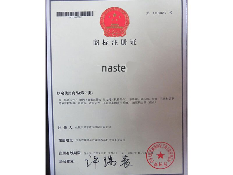naste-快速接头商标注册